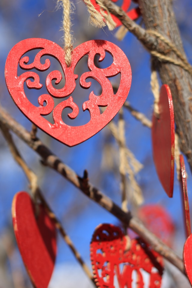 Post for Valentine's Day - Photo by freestocks on Unsplash